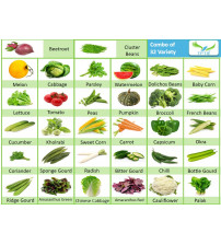 Iris Combo Kitchen Garden Pack (32 Vegetables, Fruits, Herbs Varieties) 